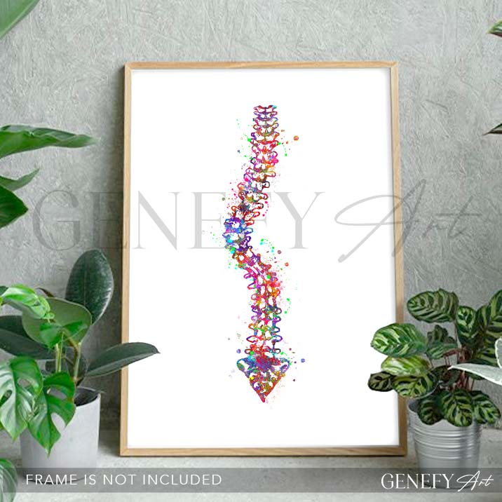 Spine with Scoliosis Watercolour Print