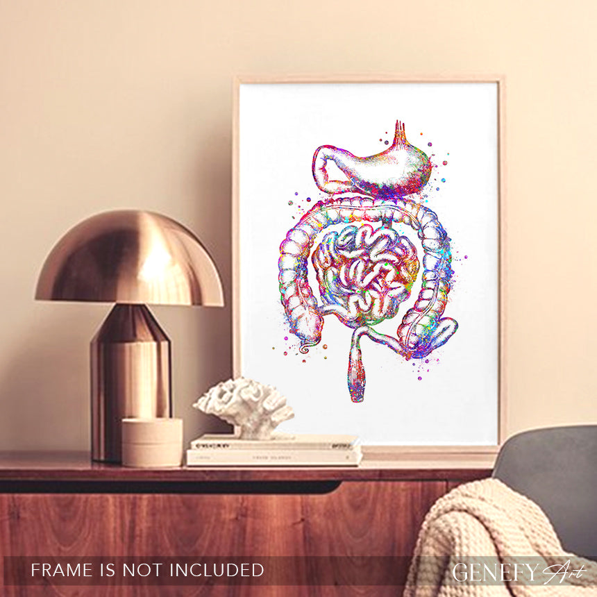 Human Stomach and Intestines Watercolour Art Print