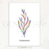 Tarragon Herb Watercolour Print - Genefy Art