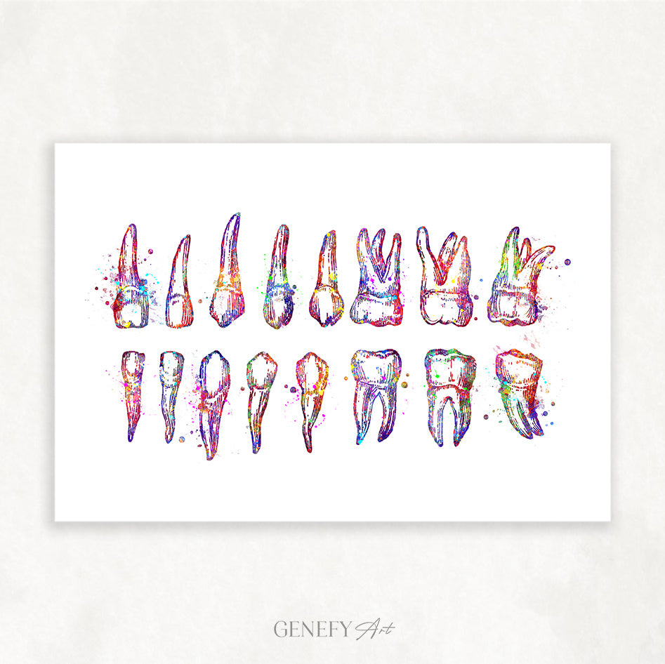 Teeth Diagram Watercolour Print