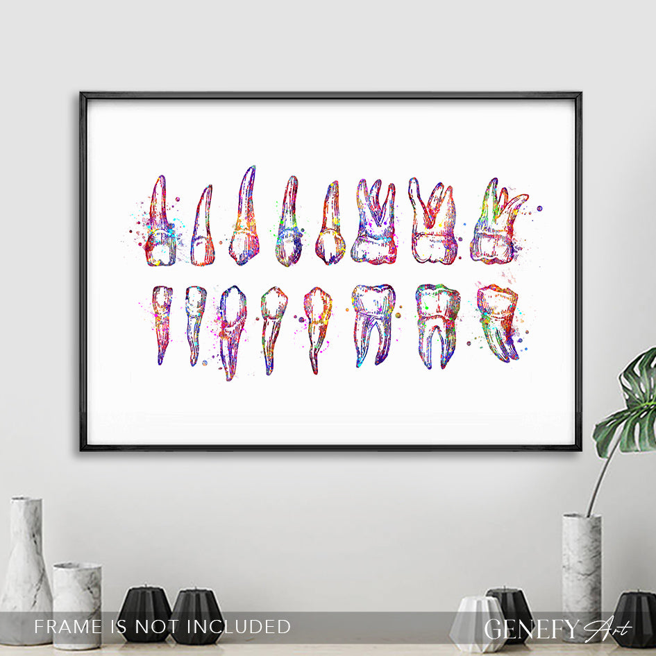 Teeth Diagram Watercolour Print