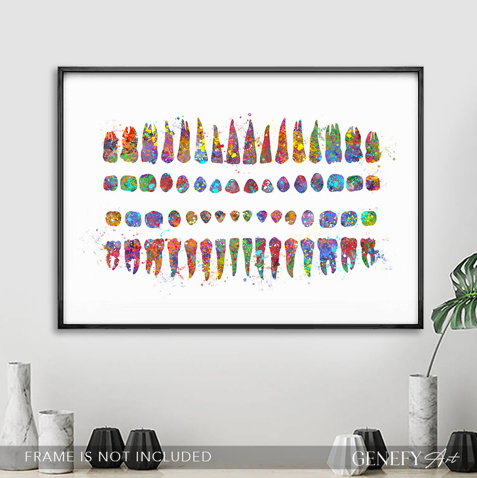Human Teeth Diagram Watercolour Print - Genefy Art