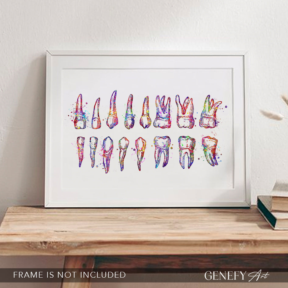 Teeth Diagram Watercolour Print