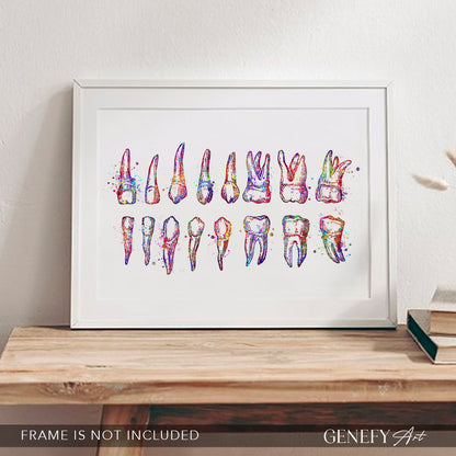 Teeth Diagram Watercolour Print