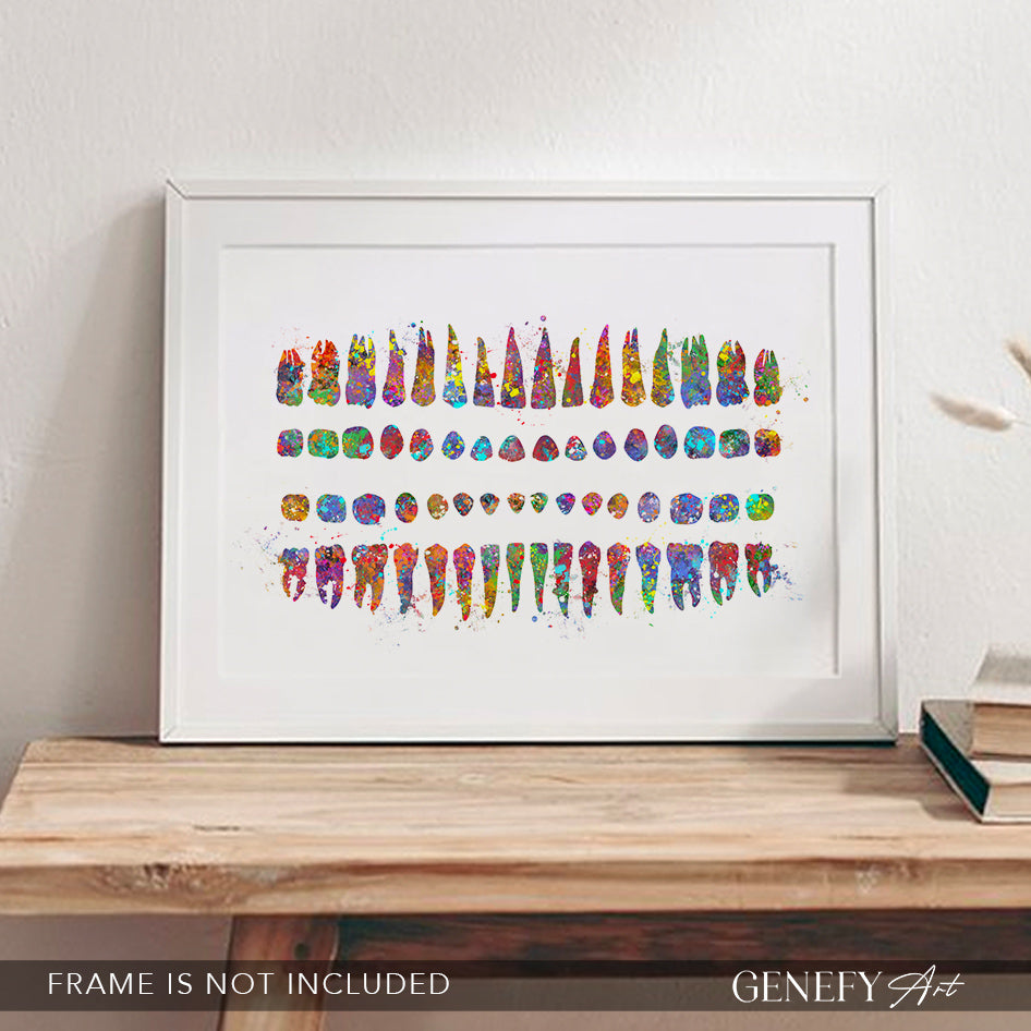 Human Teeth Diagram Watercolour Print - Genefy Art