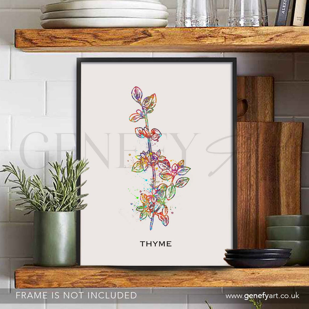 Thyme Herb Watercolour Print - Genefy Art